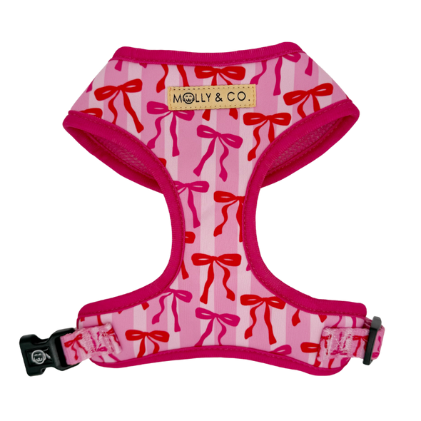 Coquette - Walking Bundle