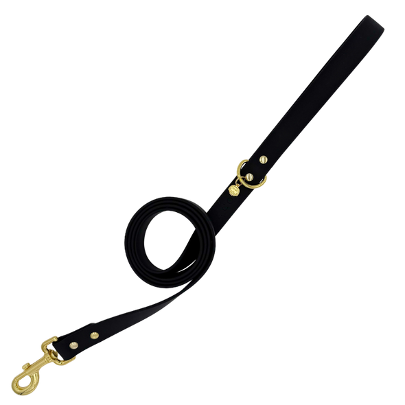 Midnight - Splashproof Dog Leash