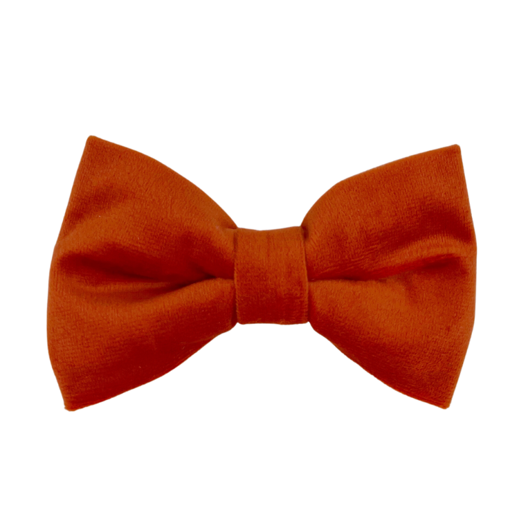 Tangerine Velvet - Dog Bowtie
