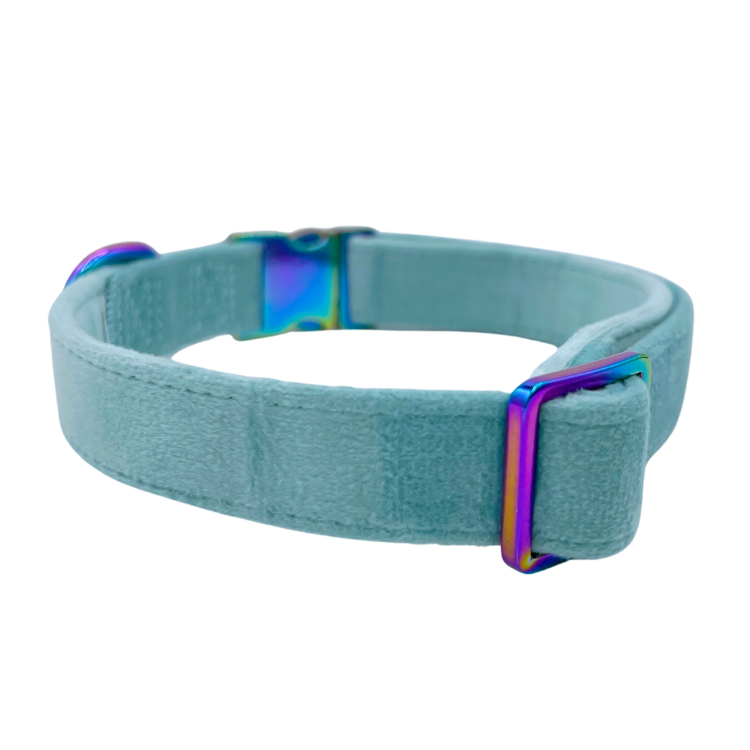 Molly Velvet - Dog Collar