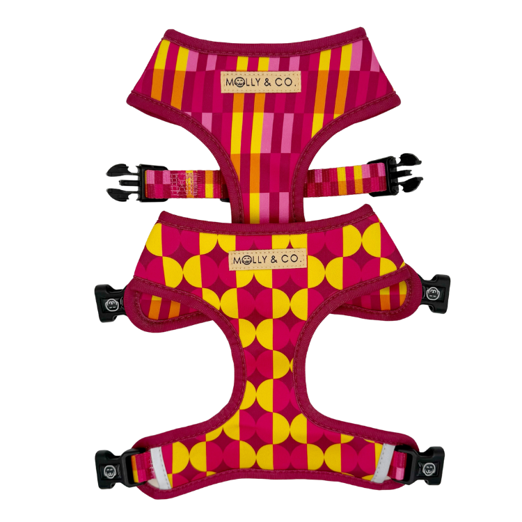 Odessa - Reversible Dog Harness