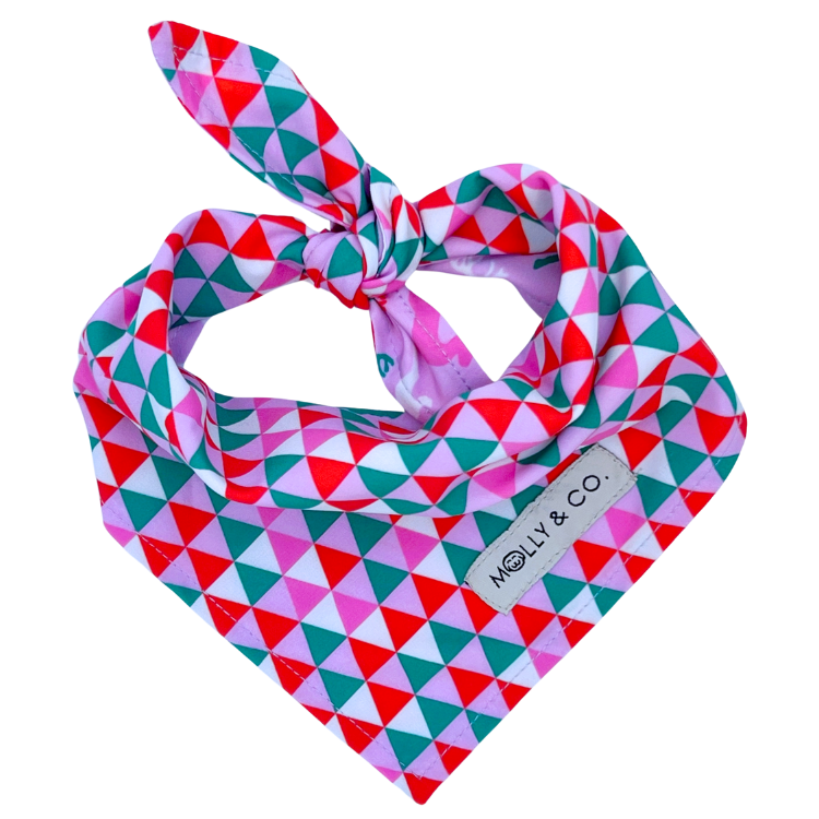 Reindeers + Merry - Reversible Dog Bandana