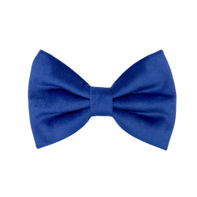 Royal Velvet - Dog Bowtie