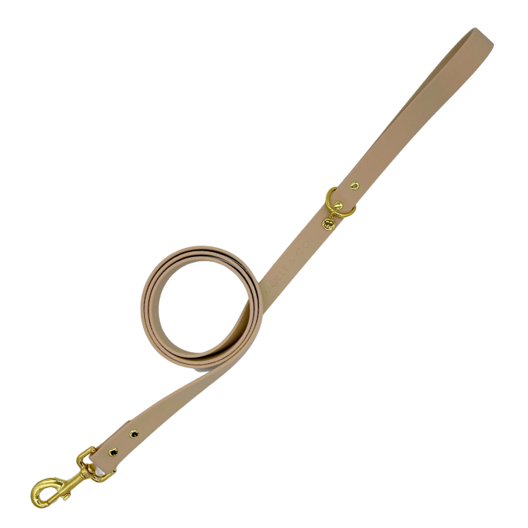Sand - Splashproof Dog Leash