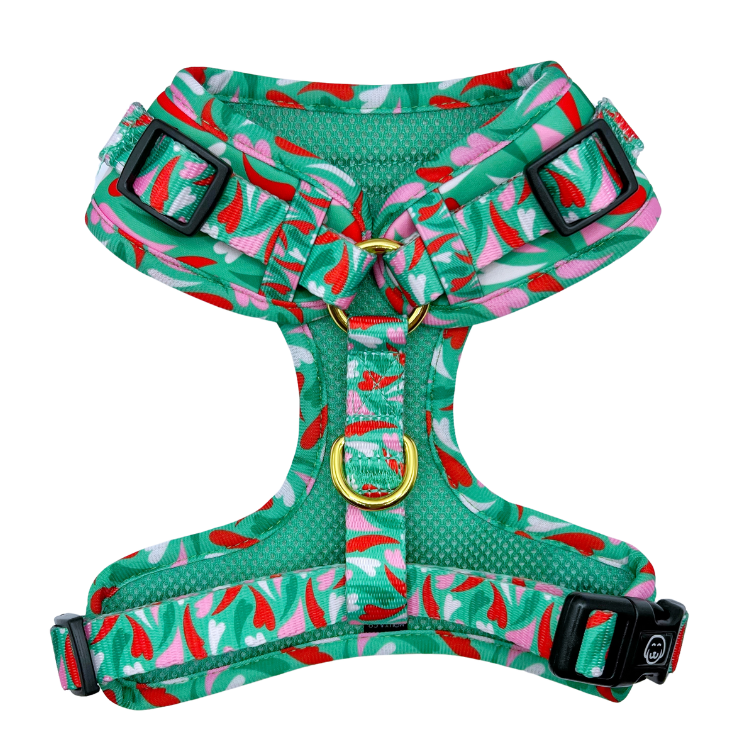 Amore - Adjustable Dog Harness