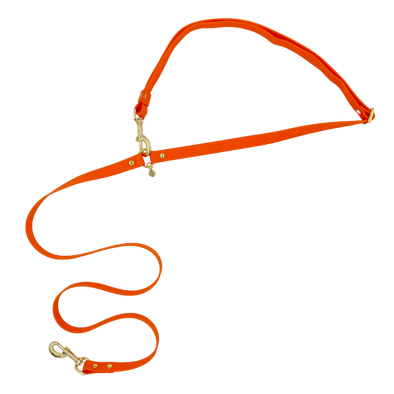 Sunburst - Splashproof Handsfree Dog Leash