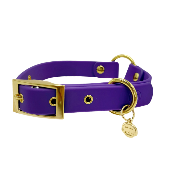 Purple Haze - Splashproof Dog Collar