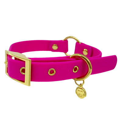 Bubblegum - Splashproof Dog Collar