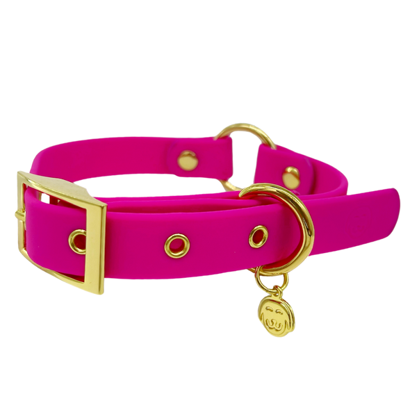 Bubblegum - Splashproof Dog Collar