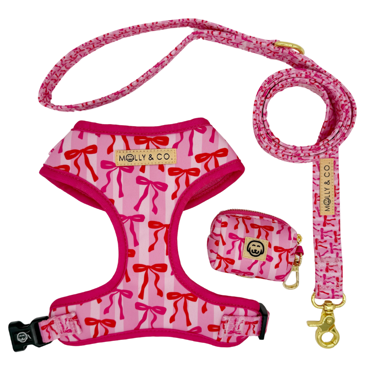 Coquette - Walking Bundle