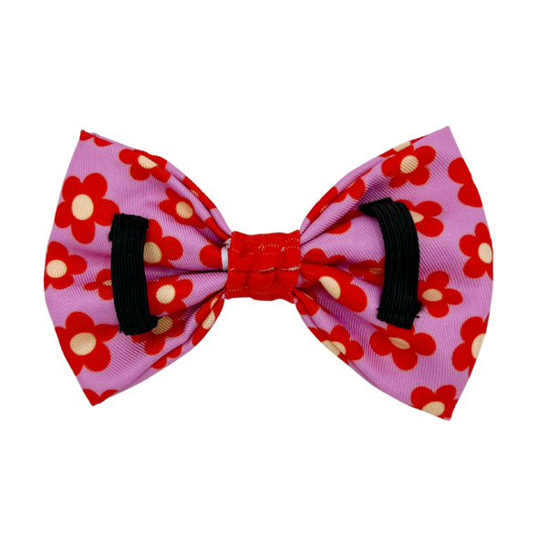 Wildflower - Dog Bowtie