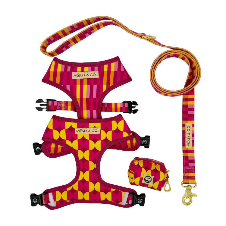 Odessa - Walking Bundle