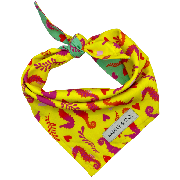 Sea Majesty - Reversible Dog Bandana