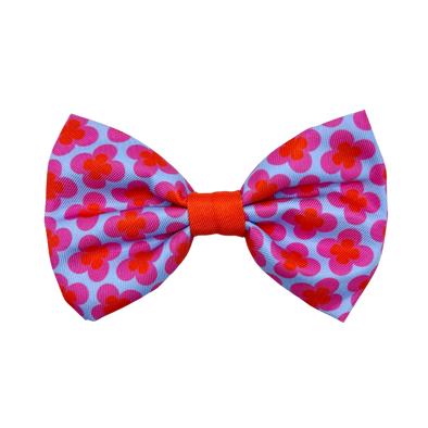 Venezia - Dog Bowtie