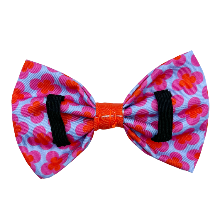 Venezia - Dog Bowtie