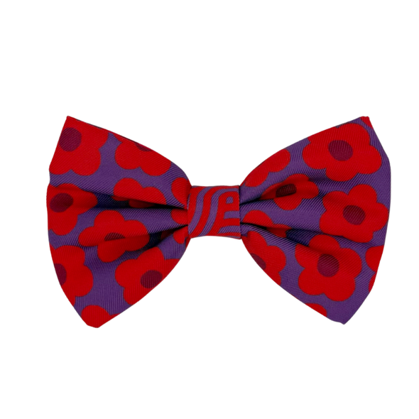 Mon Chéri - Dog Bowtie