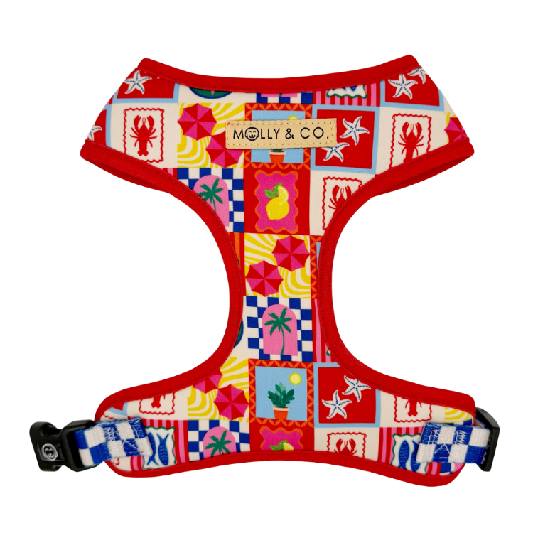 Amalfi - Adjustable Dog Harness