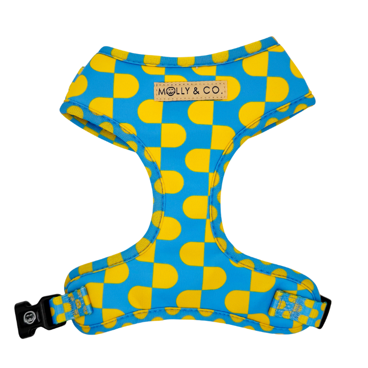 Sunrise - Adjustable Dog Harness