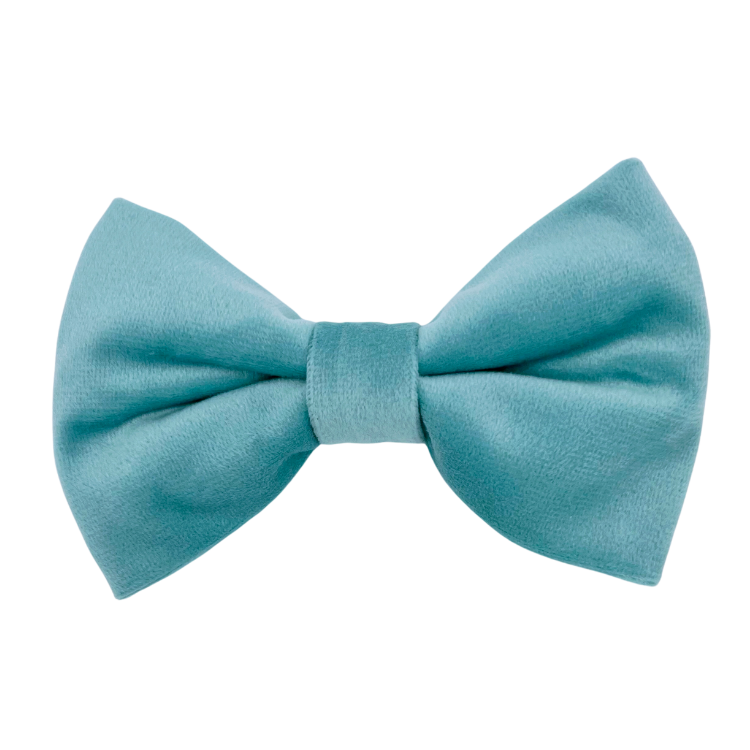 Molly Velvet - Dog Bowtie