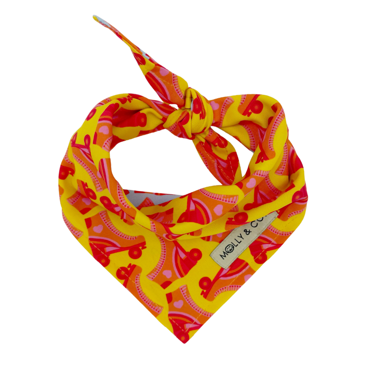 Roller Skate - Reversible Dog Bandana
