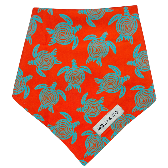 Turtle Trails - Reversible Dog Bandana