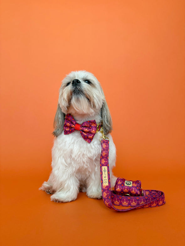 Royal Queen - Dog Bowtie