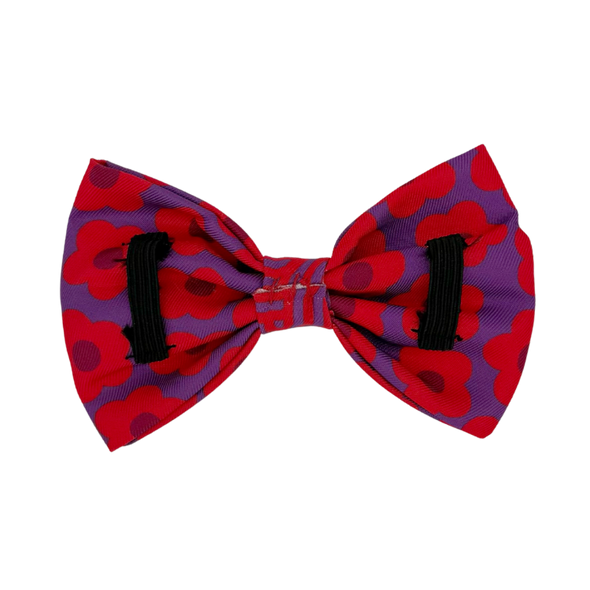 Mon Chéri - Dog Bowtie