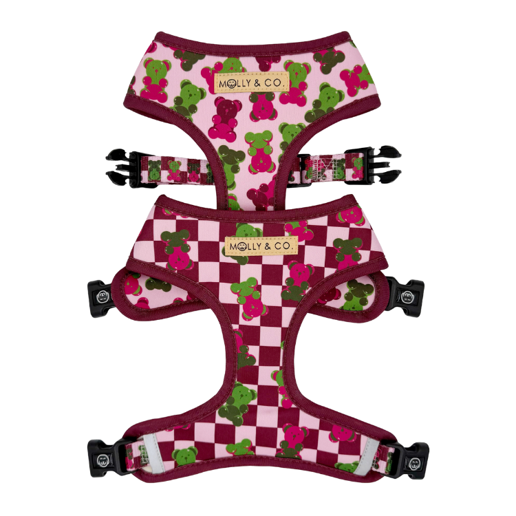 Gummy Bears - Reversible Dog Harness