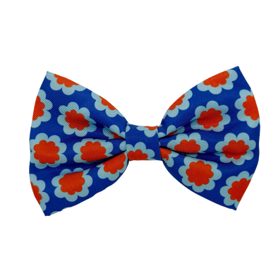 Sorrento - Dog Bowtie