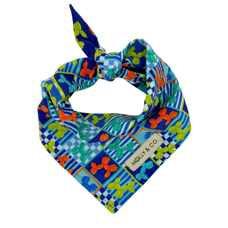 Neon Pop - Reversible Dog Bandana