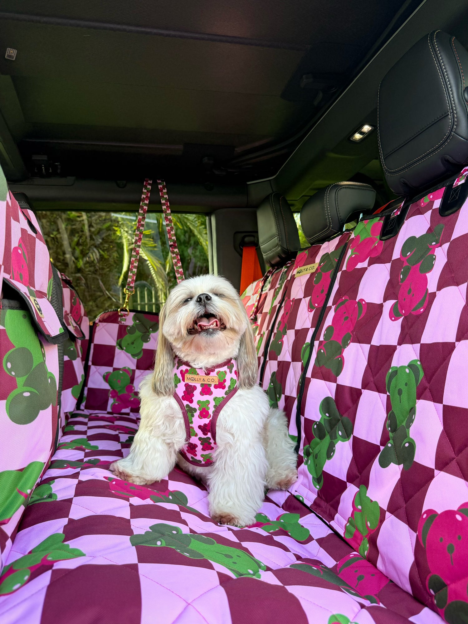 Gummy Bears - Dog Car Seat Cover