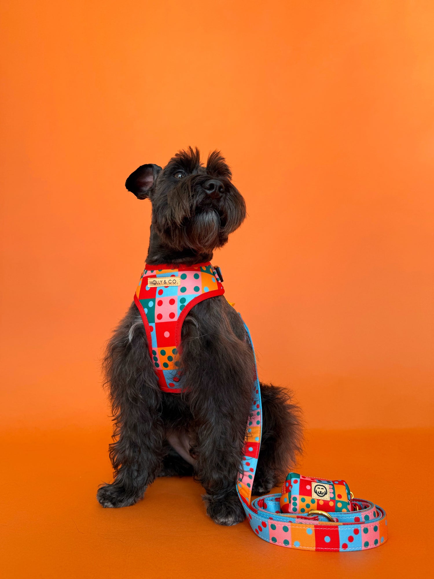 Doble Seis - Walking Bundle