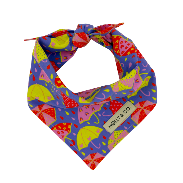 Raindrop - Dog Bandana