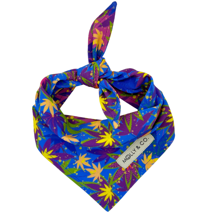 CannaPaws - Reversible Dog Bandana