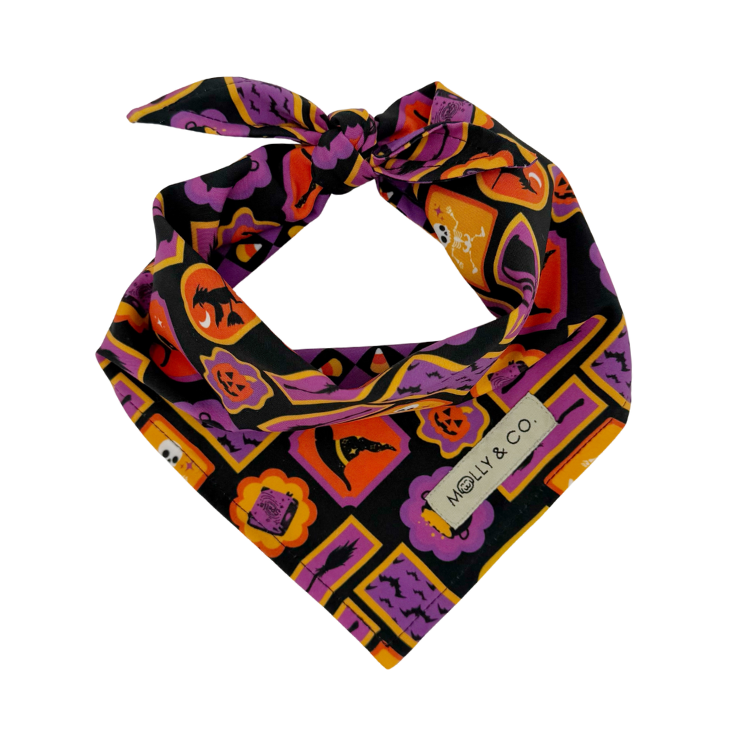 Stay Wicked - Reversible Dog Bandana