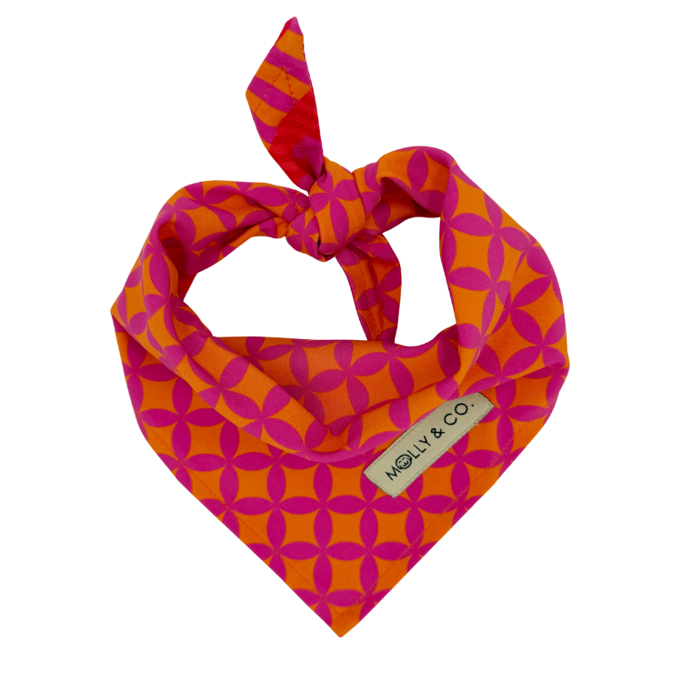 Pink Punch - Reversible Dog Bandana