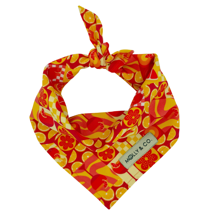Spritz - Dog Bandana