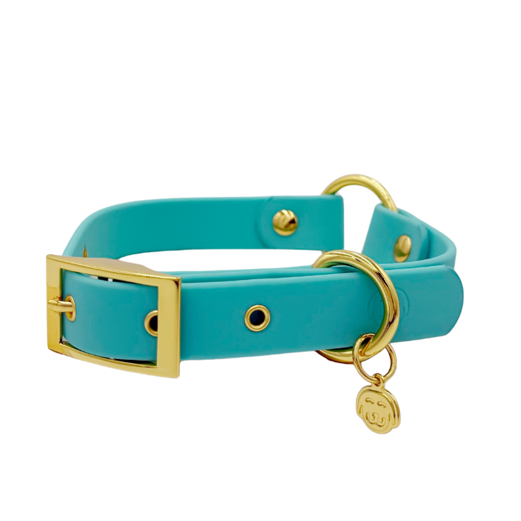 Molly - Splashproof Dog Collar