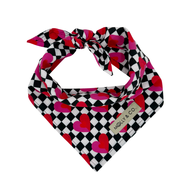Lovebug - Dog Bandana
