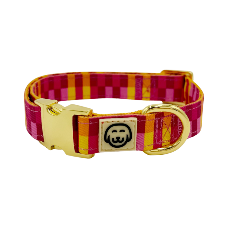 Odessa - Adjustable Dog Collar