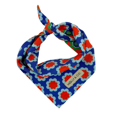 Sorrento - Reversible Dog Bandana
