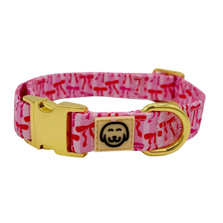 Coquette - Dog Collar