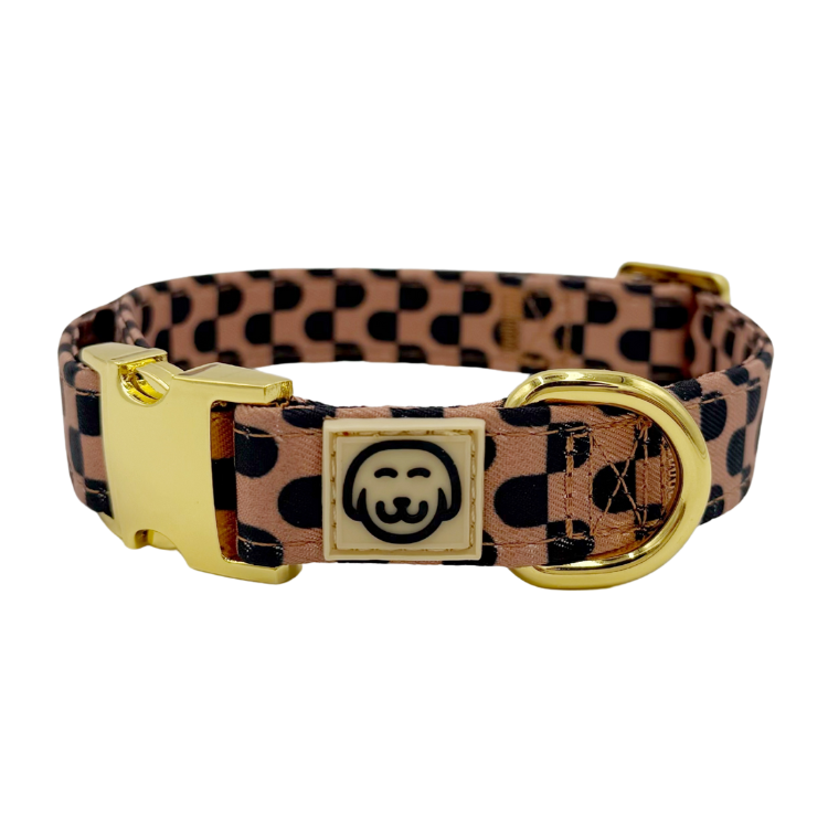 Moonrise - Dog Collar