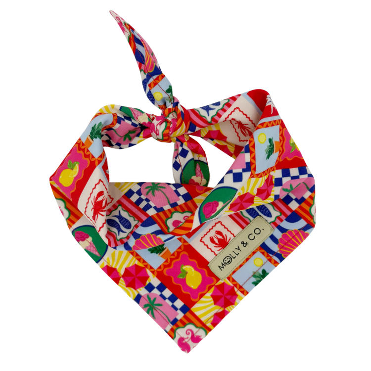 Amalfi - Dog Bandana