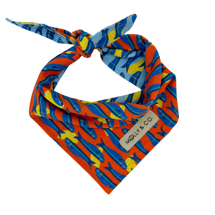 Mar Salato - Reversible Dog Bandana