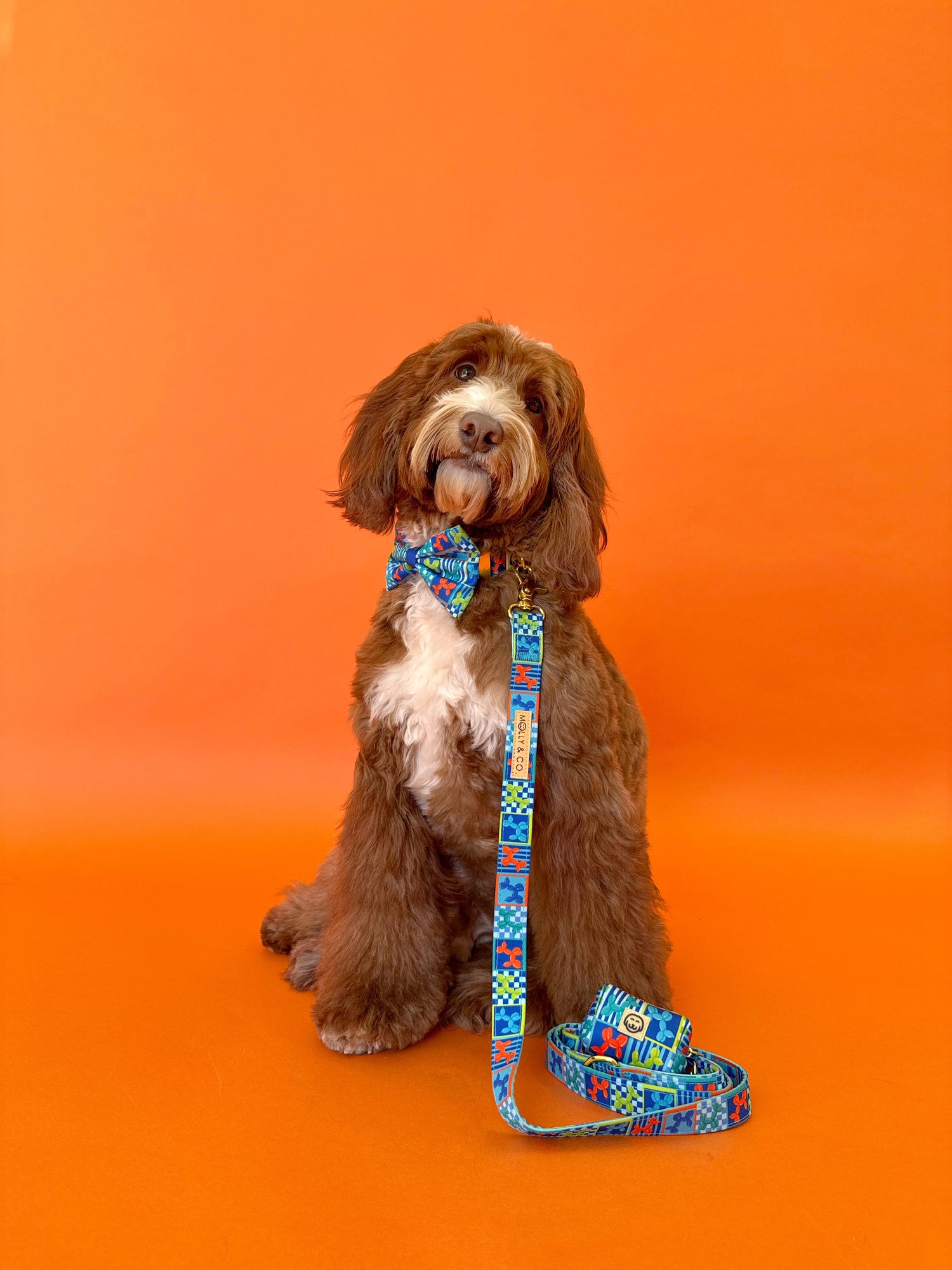 Neon Pop - Dog Poop Bag Holder