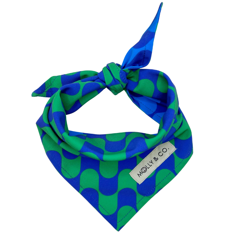 Forest - Reversible Dog Bandana