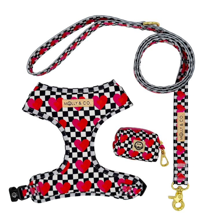 Lovebug - Walking Bundle