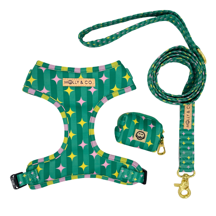 Misty - Walking Bundle