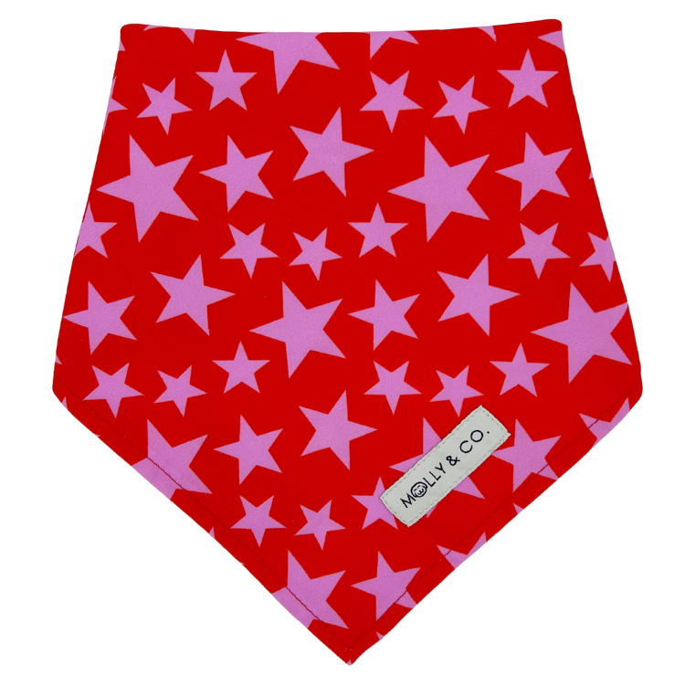 Wildflower - Reversible Dog Bandana